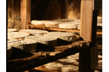 Saint Nectaire le fromage © Office de tourisme Massif du Sancy